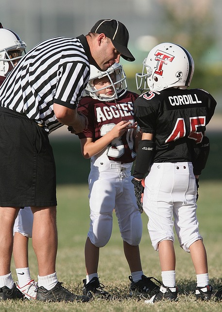 将力争在 将力争在