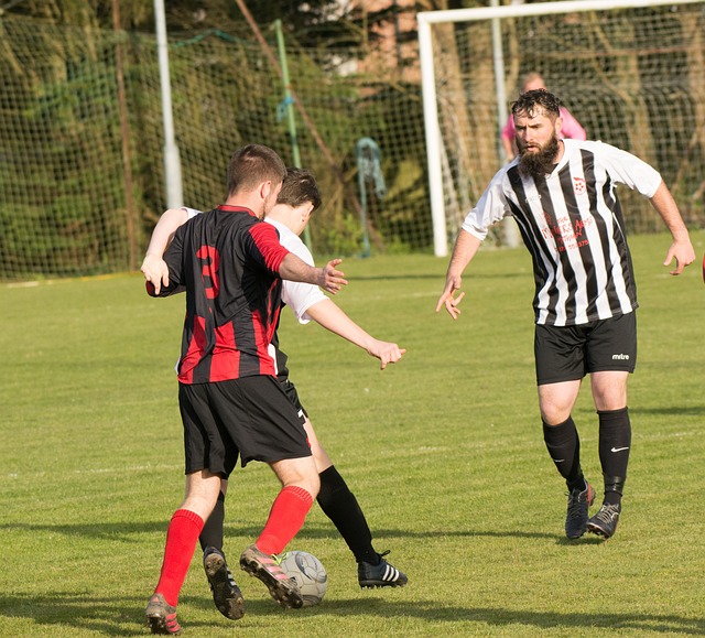 翔于天际那 翔于天际那